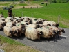 Passage devant le site de la Pastorale : ça discute ferme !